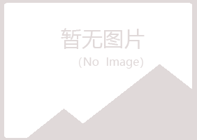 大田县晓绿会计有限公司